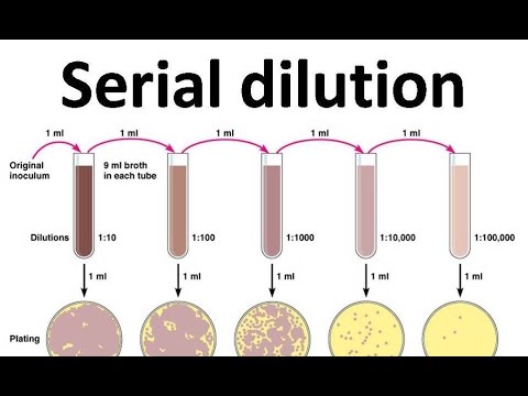 serial dilution experiment
